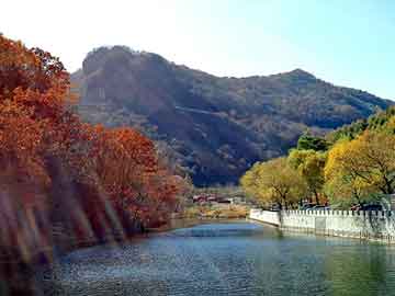 管家婆黑白马报图库，都市逍遥行